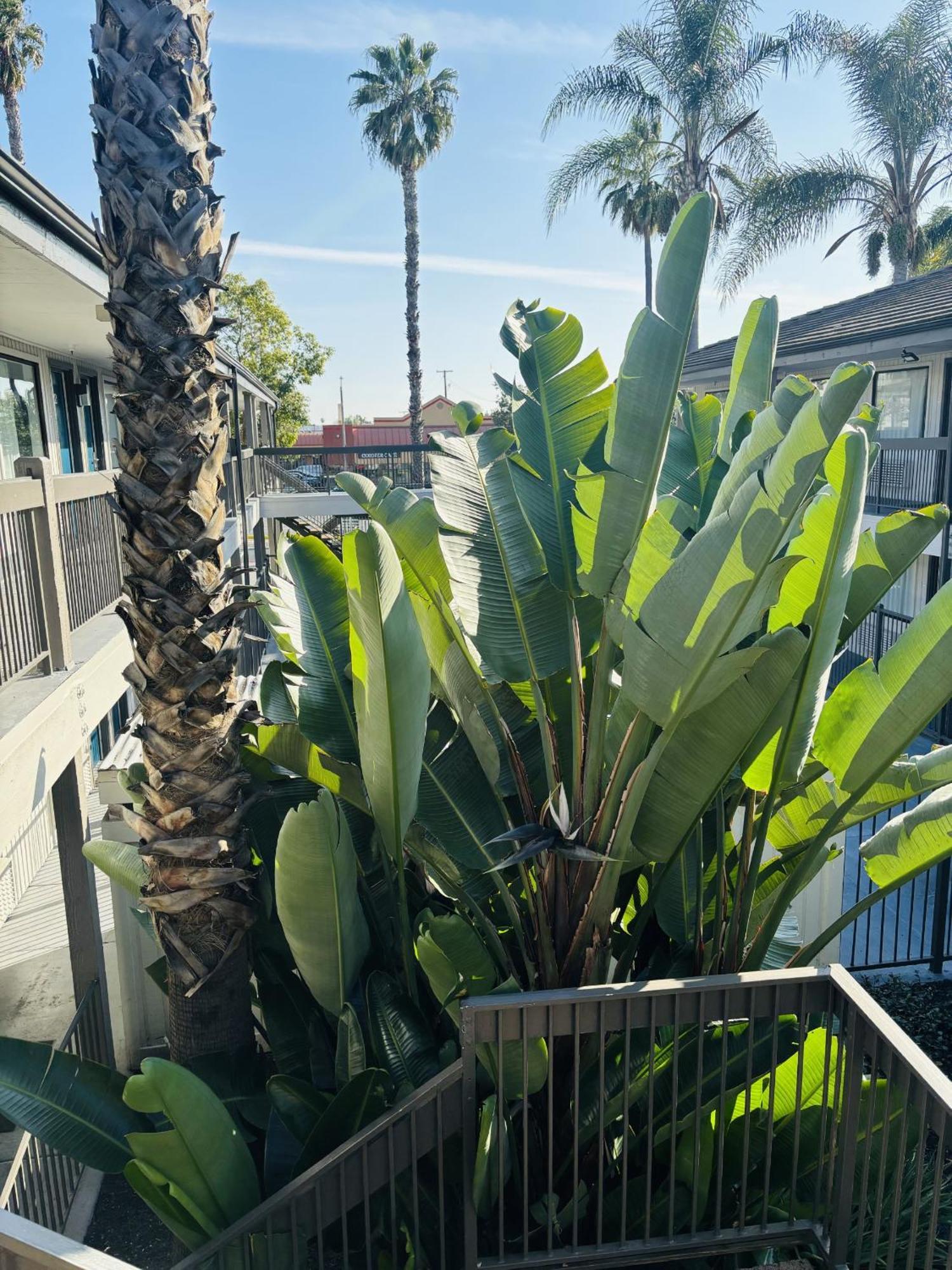 Motel 6-Santa Ana, Ca Kültér fotó